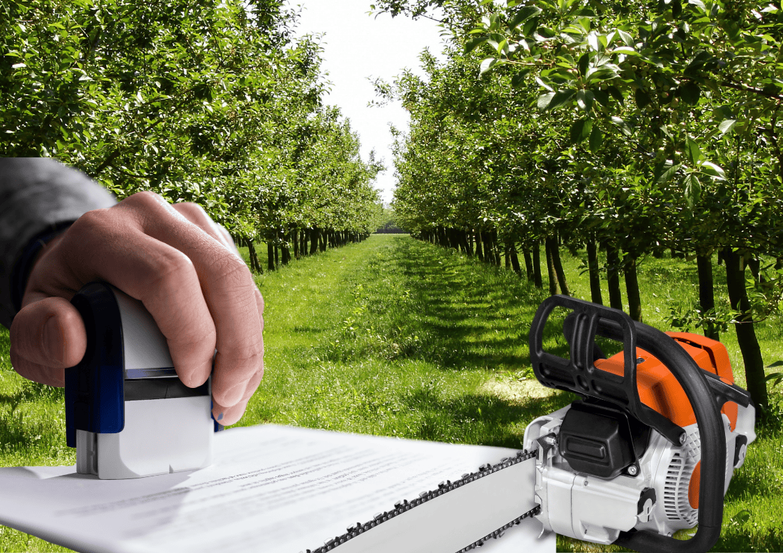 zezwolenie na wycinkę drzew